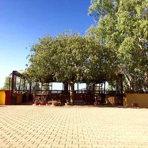 Agriturismo E Antica Fattoria Matteu , Teulada Italia